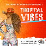 Tropical Vibes #1 (02.05.2015) - Warm Up