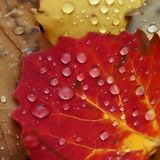after the summer mix...october2012 SAVE THE FUNKY MUSIC