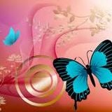 Take your time Butterfly. (moods and grooves for lounging)