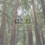 Reverb Party's December Mixtape