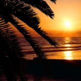 Summer Mix 2014 (Nu Jazz, Latin House & African Beats)