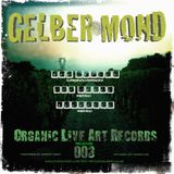 Moe Jaksch - Gelber Mond (Lee Jokes Tech-House Rmx) B1