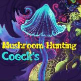Coeck's - Mushroom Hunting (Original Mix)