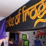 Sascha Recht @ NYE Tribe of Frogs - Shake the Temple 01.01.15