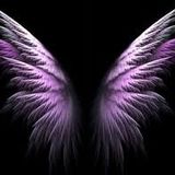 Wish For Wings