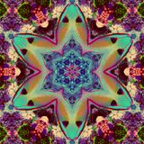 Robo Zhu - Organic Fractal
