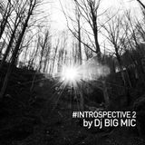 #INTROSPECTIVE 2 by Dj Big Mic