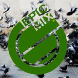 Epic Mix 4