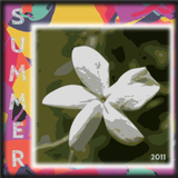 Ahmet Güneş's Summer 2011 Selection