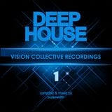 Deep House Label Showcase: Vision Collective Recordings #1