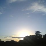 Waiting For The Sun 2011