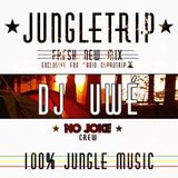 ★ JUNGLETRIP ★ Uwè from NO JOKE family