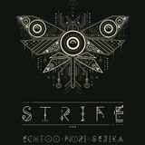 DJ Strife on the Friday Dub Crawl Dec 2014