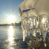 Flegma #31