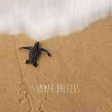 Summer Breezes