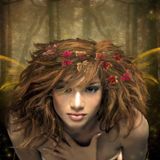 in the forest