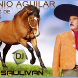 ANTONIO AGUILAR CABALLOS MIX VIP-DJSAULIVAN