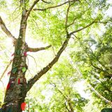 Riverside_Cafe_Mix_5 by Toshizo Shiraishi