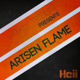 Weekly tribute #006: Arisen Flame
