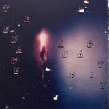 Teenage Audacity