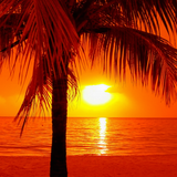 Deep Summer