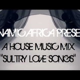 Dynamic Africa presents: A House Music Mix - "Sultry Love Songs"
