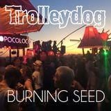Trolleydog - Sunset Island Friday Sundown @ Burning Seed 2015
