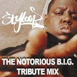 DJ STYLOOP - THE NOTORIOUS B.I.G. TRIBUTE MIX