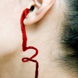 Ear Blood Vol. 2 @ Chamber Bot