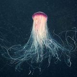 Dub Techno Mix (Spaced Out Radio Sept 24th 2014)