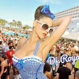 Summer Electro House Mix 2014 - Dj Royal S.
