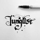 jungle/dnb live radio show,VIBES ;)