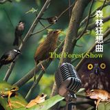07 晨鳥之歌(純自然聲音)(Bonus 01)