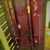 PiaNooO NuM BeuRRe TeN @ HoNG KoNG [18 aPRiL 2015|