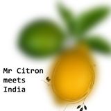 Mr Citron meets india - remix