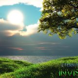 INVISIBLE-ETERNITY 43
