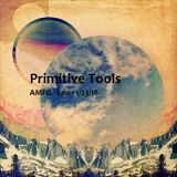 Primitive Tools @ Asheville Full Moon Gathering (January 2016)