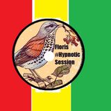 Floris Gabriel - Hypnotic Session #003