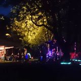 DerKoch2015.08.29Sommernachtstraum