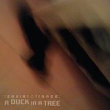 A Duck in a Tree 2014-10-04 | To a Moving Place on a Sliding Plane