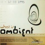 Air Liquide @ What Is Ambient Festival - Ultraschall München - 11.03.1995 - Pt 2