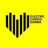 ECG 12.02.2015