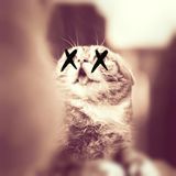 Phonik's Mixes Ep.1 - Monstercat, Thank You, and some Electro!