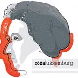 Łódź: Róża Luksemburg dziś. Imperializm, akumulacja i strajk masowy (2013-01-28)