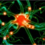NeuroToxin