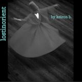 LostInOrient
