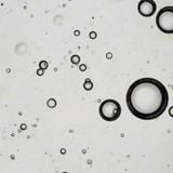 Test de alcoholemia