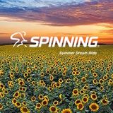 Summer Dream Ride Spinning®