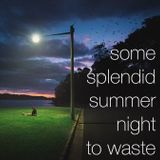 some splendid summer night to waste