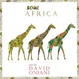 David Oniani - SoulAfrica
